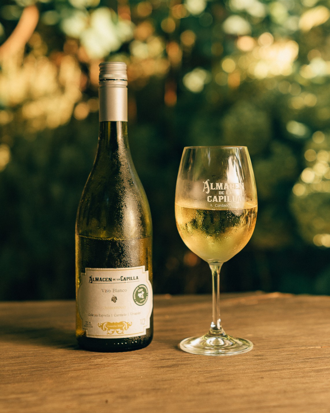 Chardonnay - Almacén de la Capilla