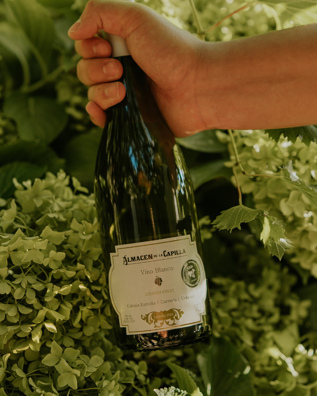 Chardonnay - Almacén de la Capilla