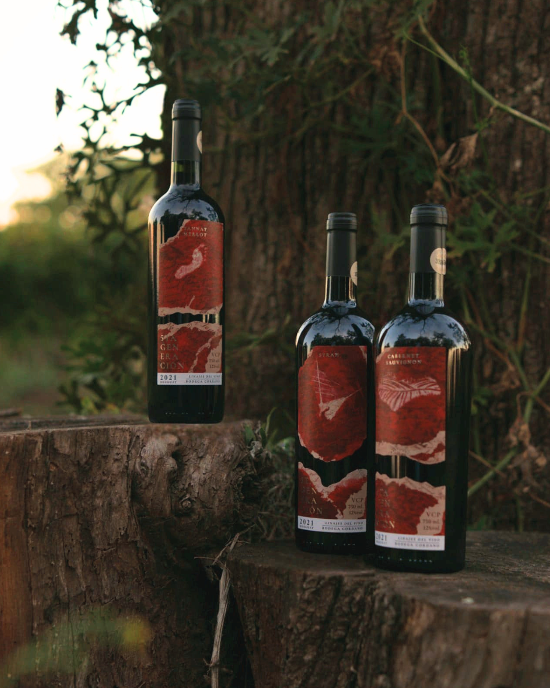 Cabernet Sauvignon - 5ta Generación