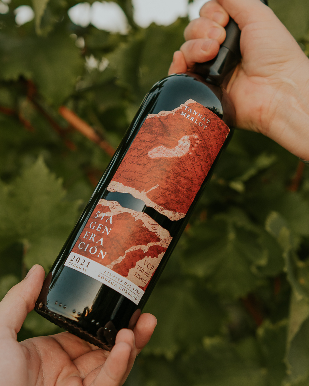 Tannat Merlot - 5ta Generación