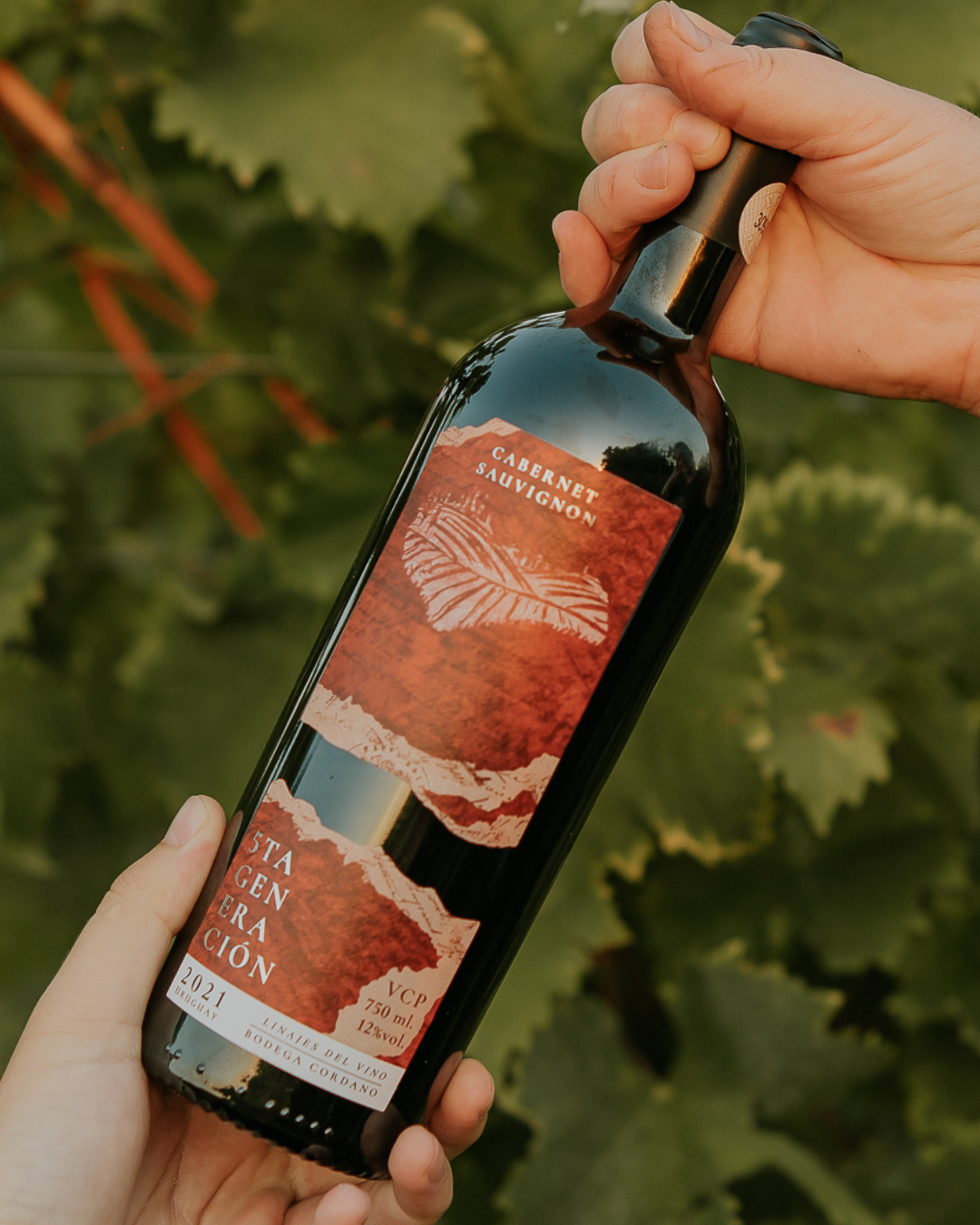 Cabernet Sauvignon - 5ta Generación