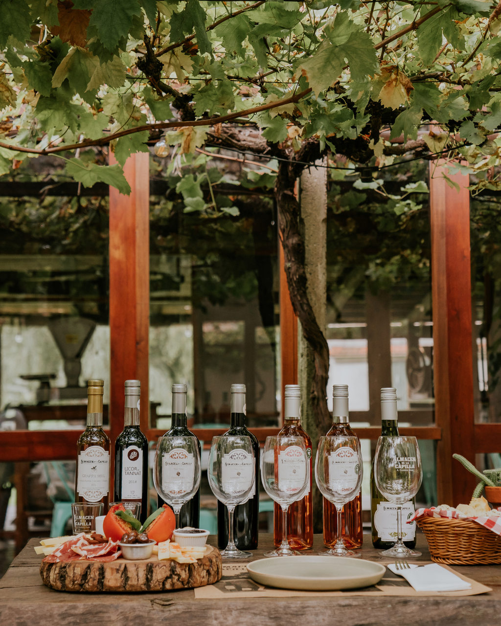 Degustación de Vinos