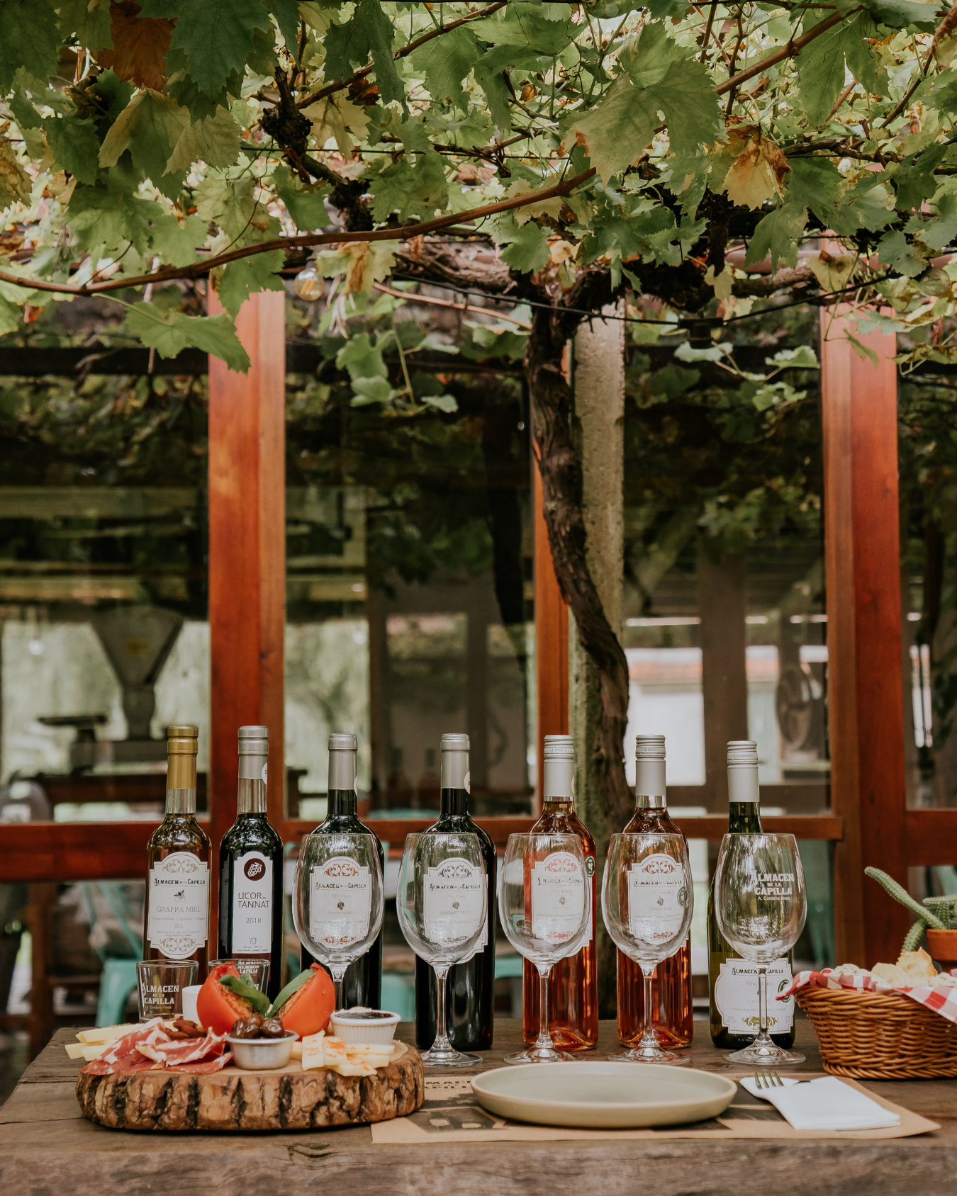 Degustación de Vinos