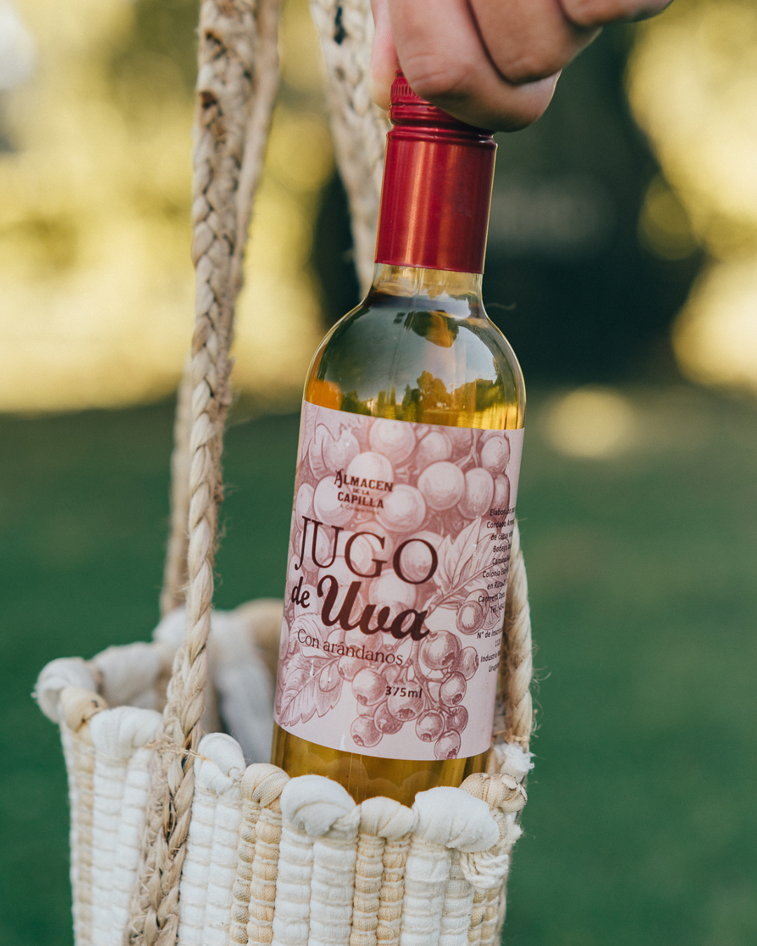 Jugo de uva con arándanos (375ml) - Almacén de la Capilla