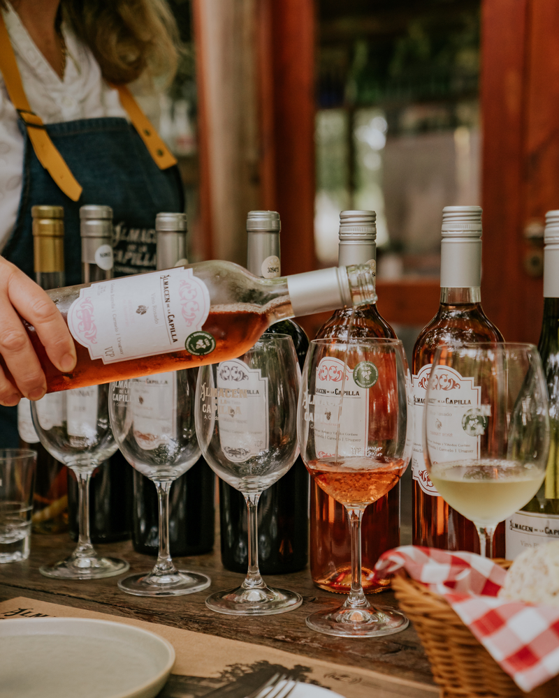 Degustación de Vinos