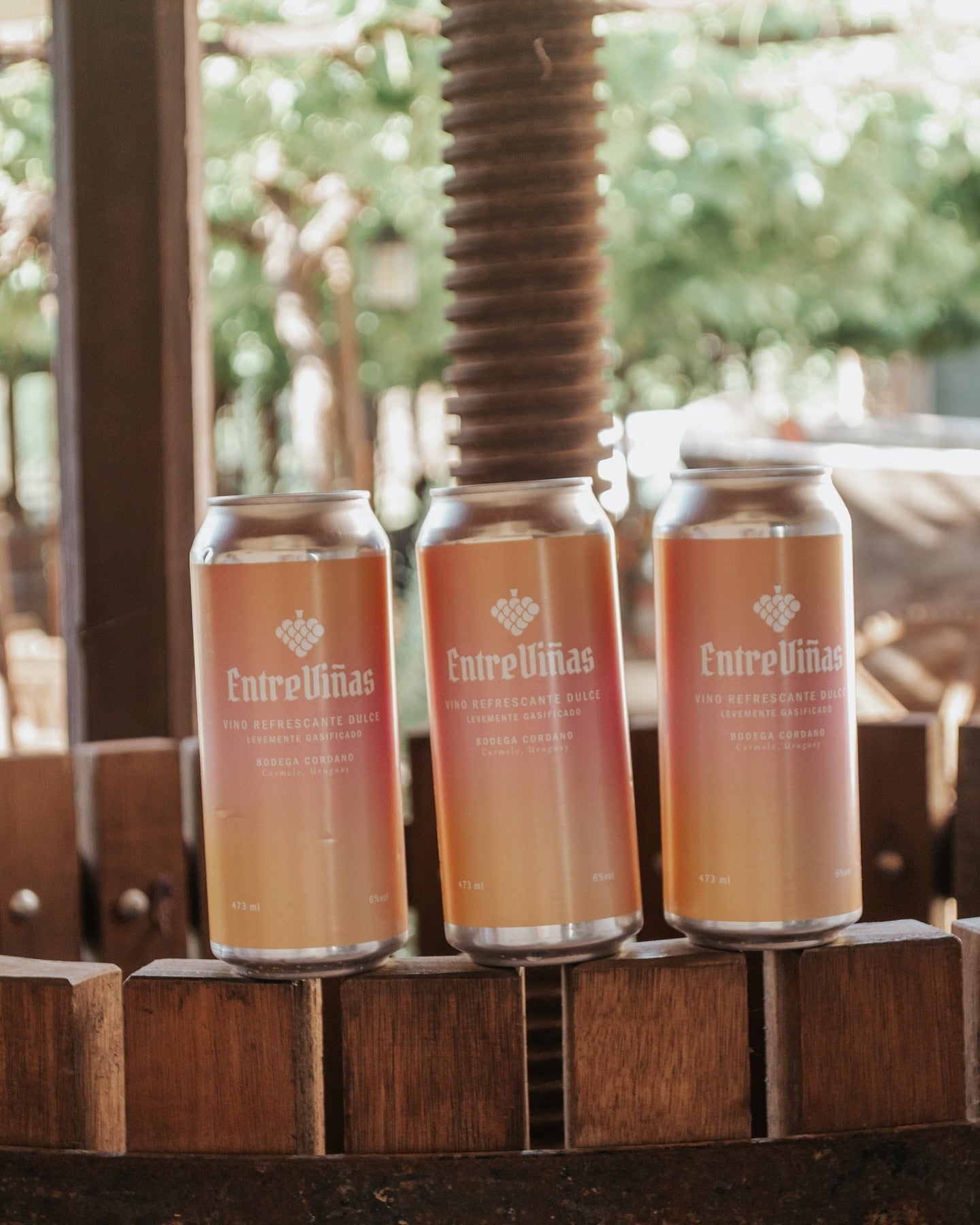 Entreviñas Wine (en lata) - Vino refrescante levemente gasificado