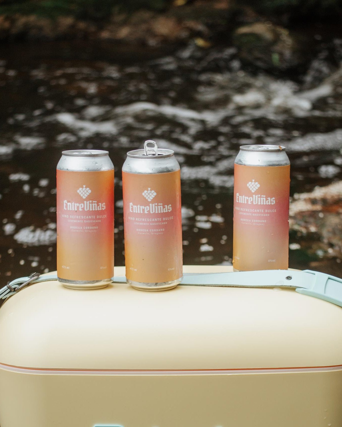 Entreviñas Wine (en lata) - Vino refrescante levemente gasificado