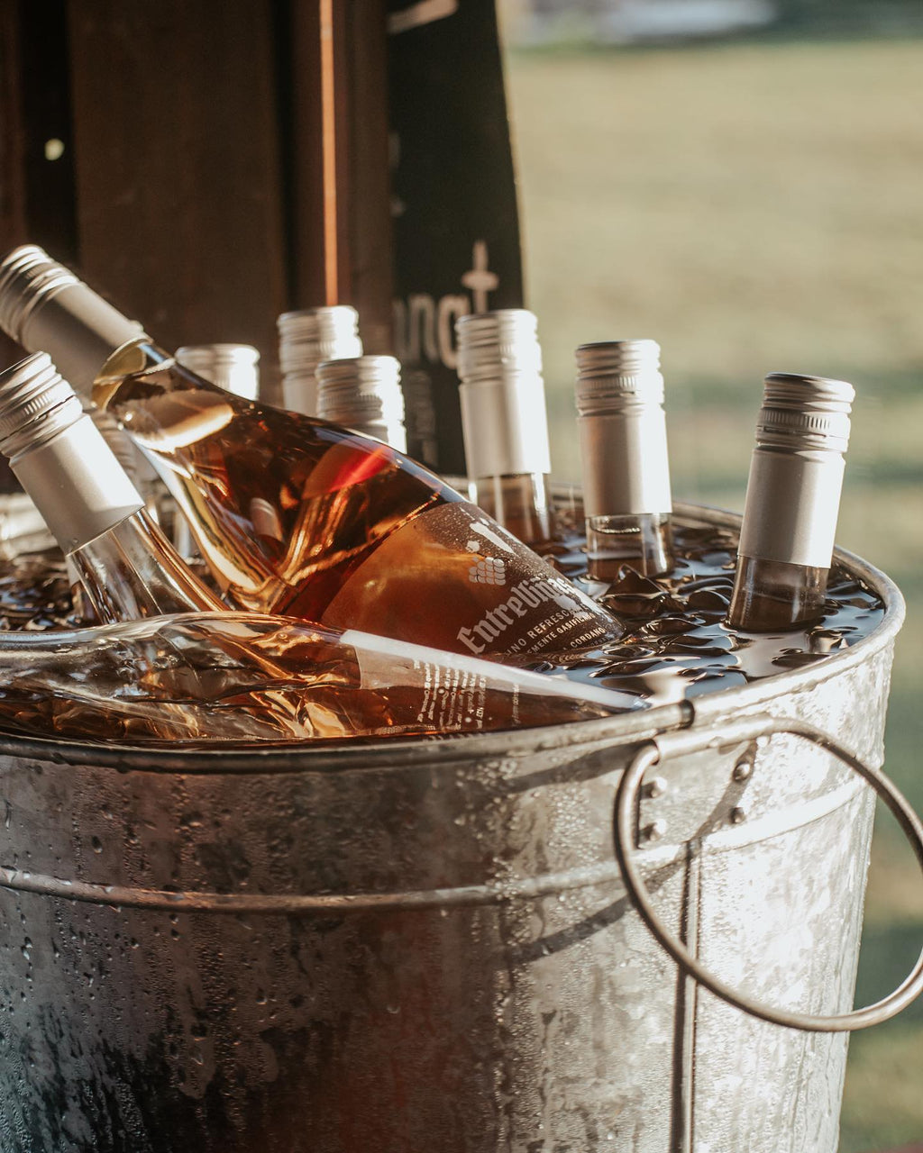 Entreviñas Wine - Vino refrescante levemente gasificado