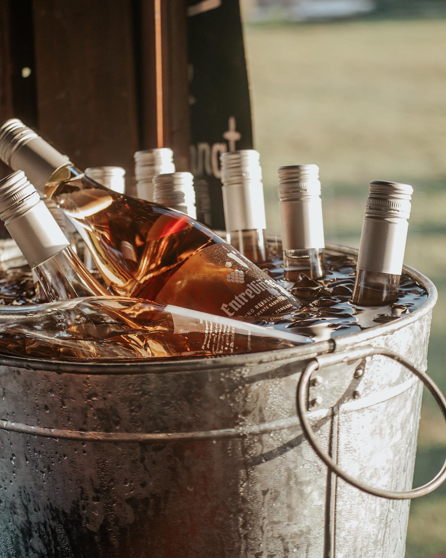 Entreviñas Wine - Vino refrescante levemente gasificado