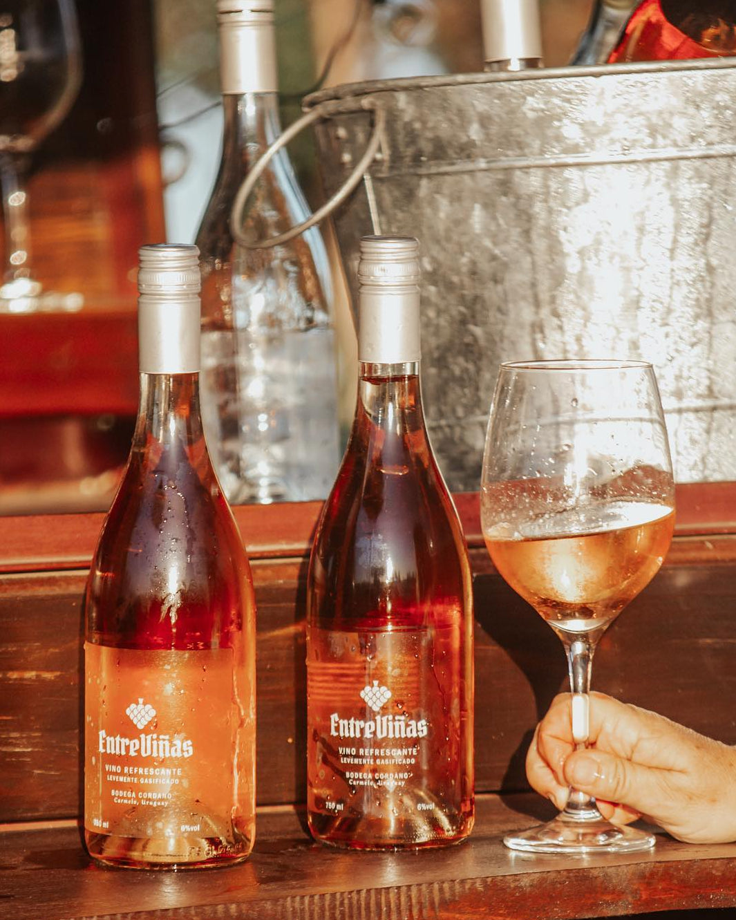 Entreviñas Wine - Vino refrescante levemente gasificado